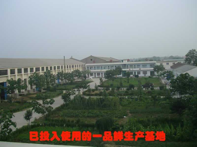 郑州一品海鲜王_郑州雪中王_郑州方特欢乐世界(2)
