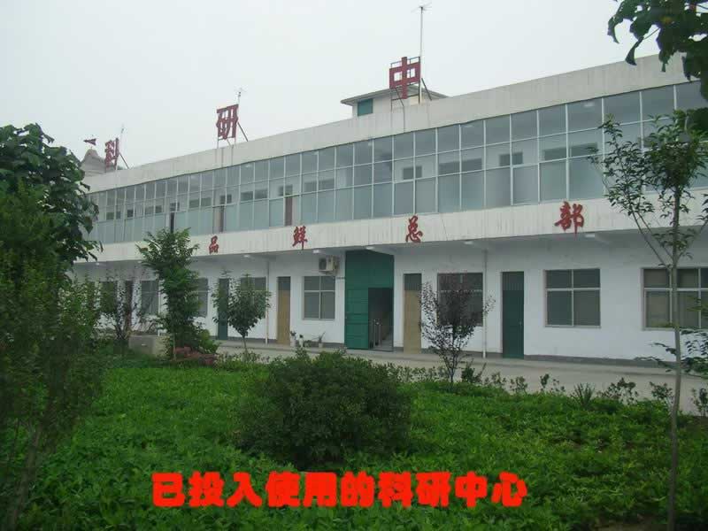 郑州一品海鲜王_郑州雪中王_郑州方特欢乐世界(2)